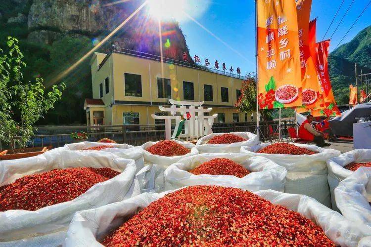 和"太行二宝"一样,这次参加"平顺大红袍花椒"区域公用品牌揭牌活动的