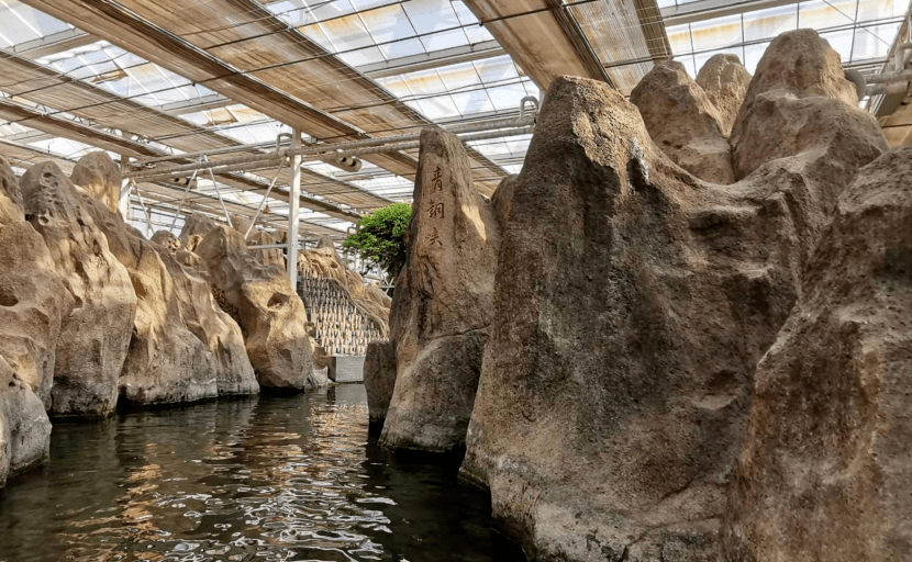 銀川人中秋節好去處!20000平米室內博覽園!