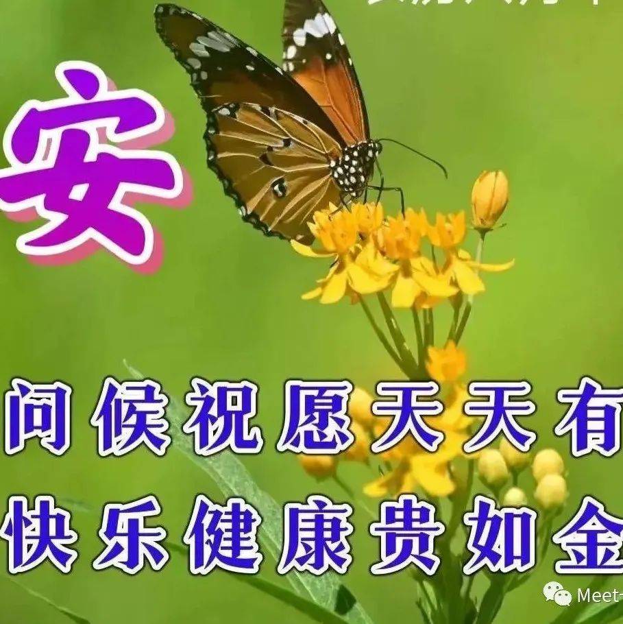 早上好问候祝福动态表情图片 最新早安问候祝福图片带字_钟儿响_阳光_Meet