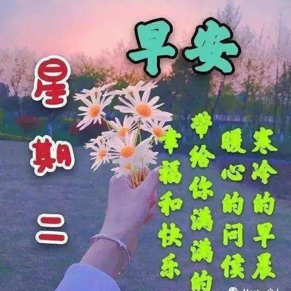 最新早上好表情包，每天问个好，平平安安每一天生活开心人生 