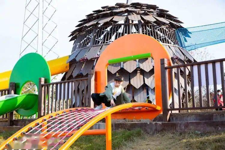 9元起抢浦口【松鼠部落森林假日公园】单人票,带娃尽享一站式"轻度假"