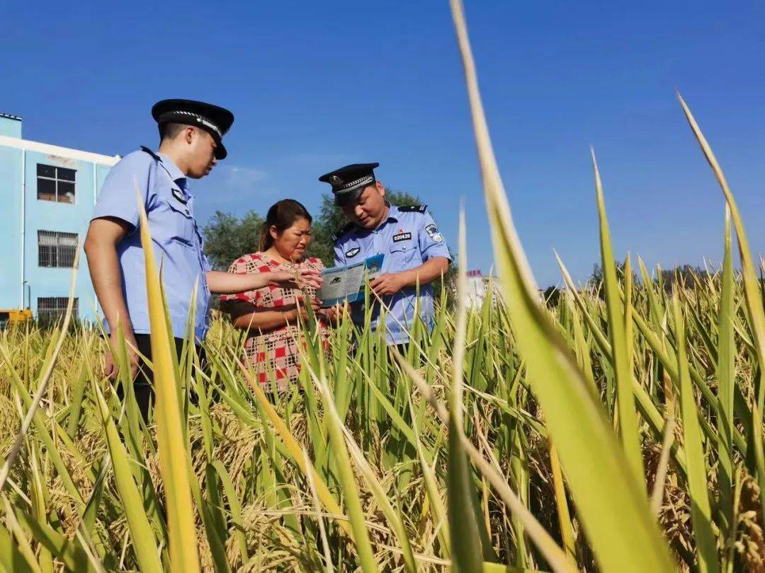 淮南警方"百日行动"战果丰硕_工作_整治_全市