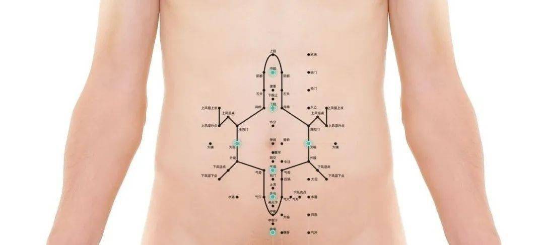 腹部的全息影像特点:经过大量的临床反复研究发现,腹部经络是一个多