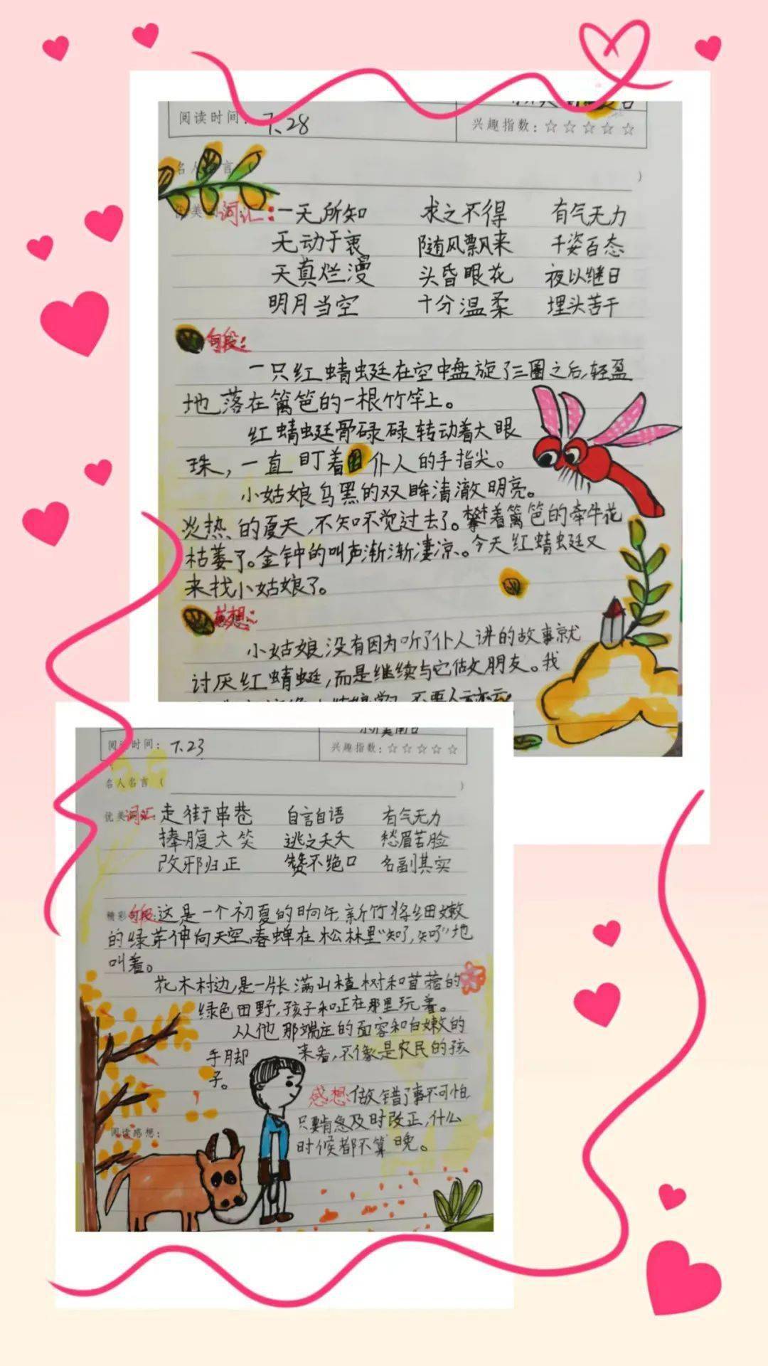 多彩暑假,缤纷生活——平度实验小学三年级语文优秀暑假作业展示篇_蒲