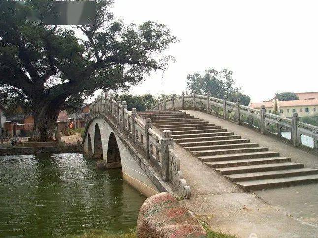 市情集萃丨这条小巷,走出了广府人_胡妃_南雄_中原