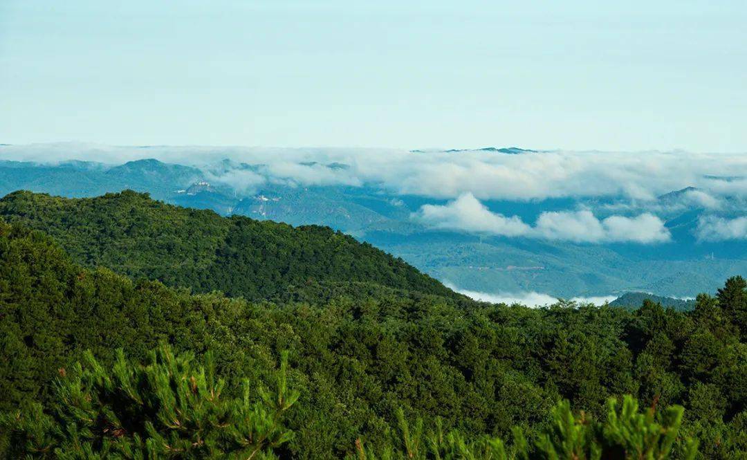 铜川文王山图片