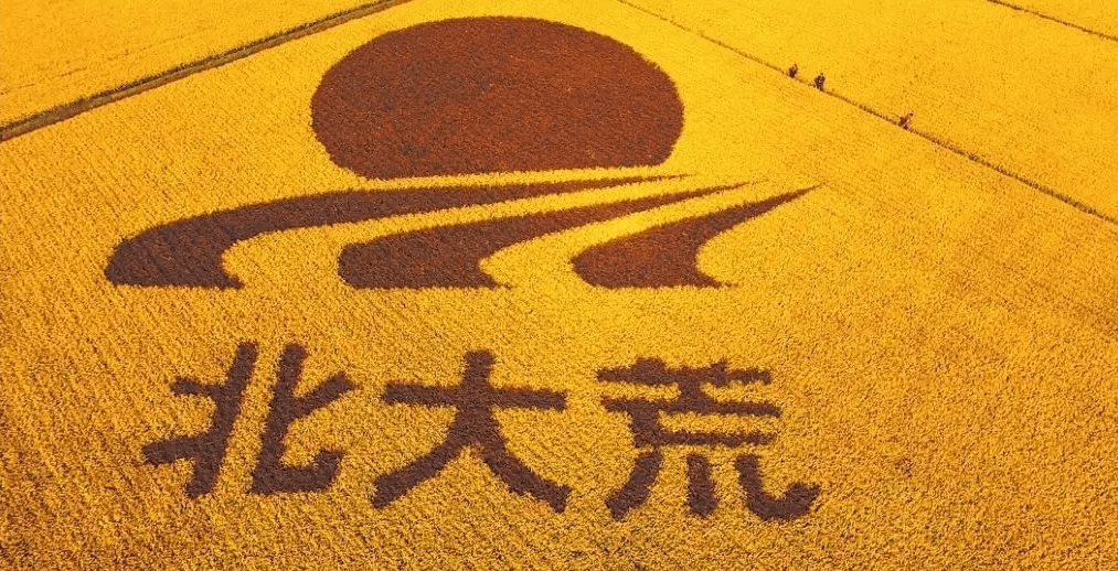 黑龙江省3100多万人,东北的大粮仓,粮食产量为何全国第一?