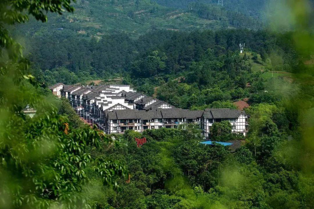 北碚 1!静观镇素心村入选中国美丽休闲乡村_种植区_内容_全国