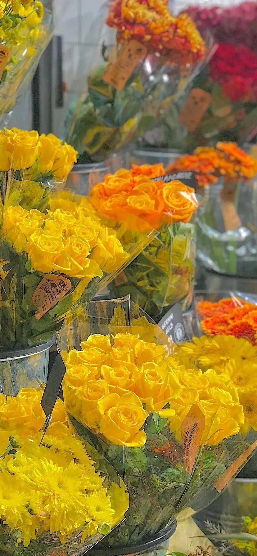 用了就舍不得换的ins风壁纸