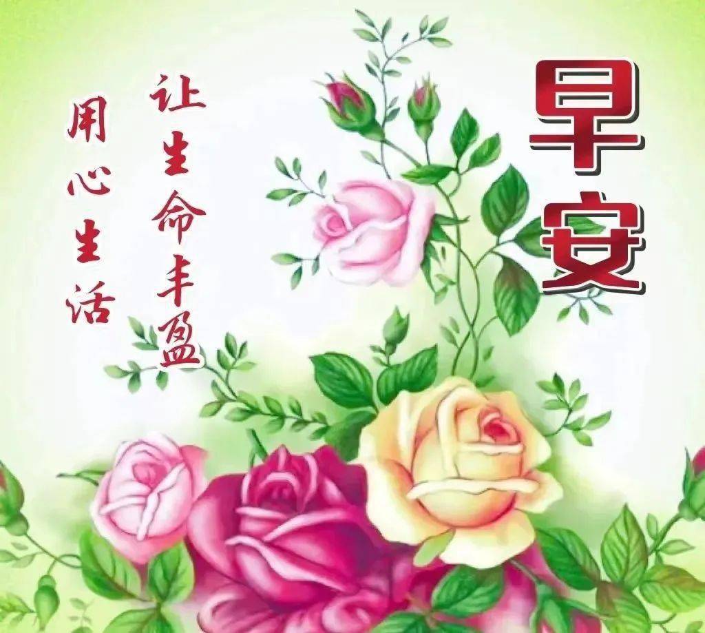 漂亮的早上好祝福動態鮮花圖片帶字_朋友_季節_開心