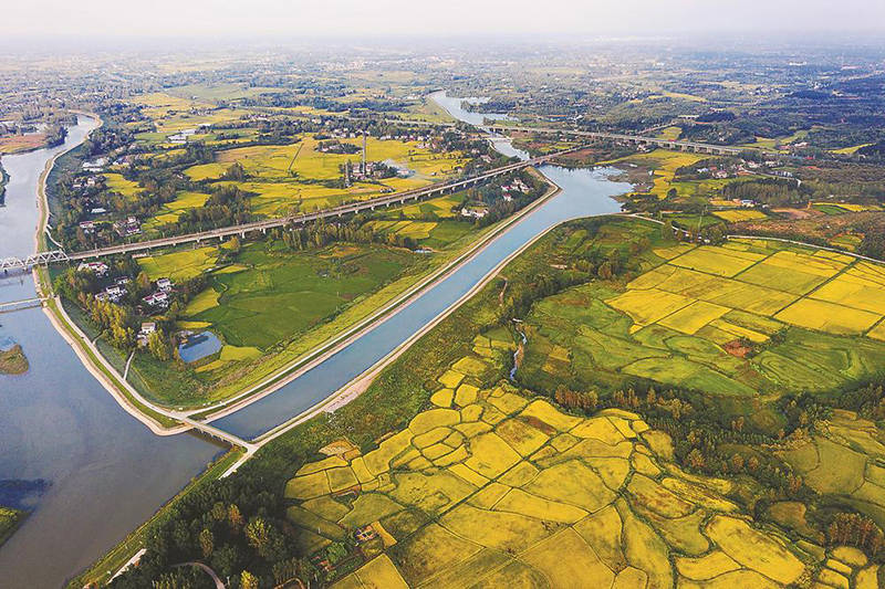 水清岸绿稻香_姚李镇_六安市_史河