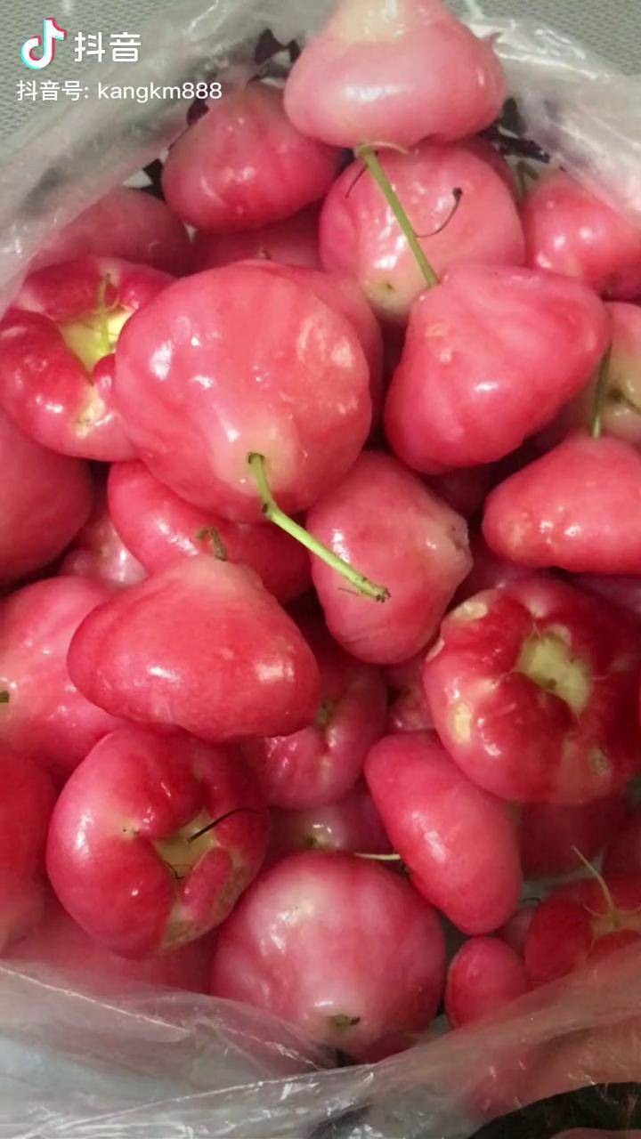 莲雾粉红色,太好吃了莲雾 新鲜应季水果 夏天的味道 dou 小助手_莲雾