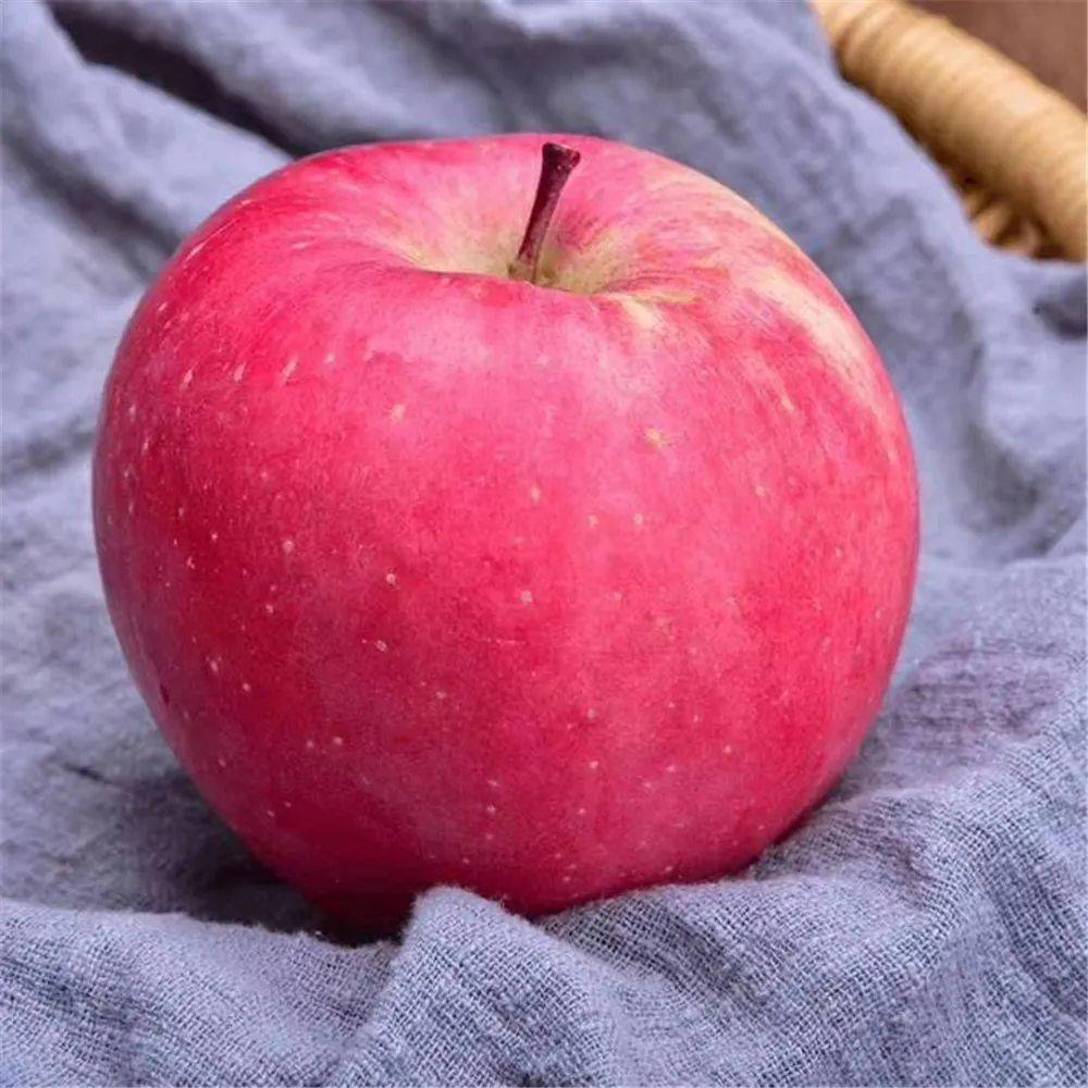 静宁35°苹果谷：陌上芳菲 半城馨香半城红