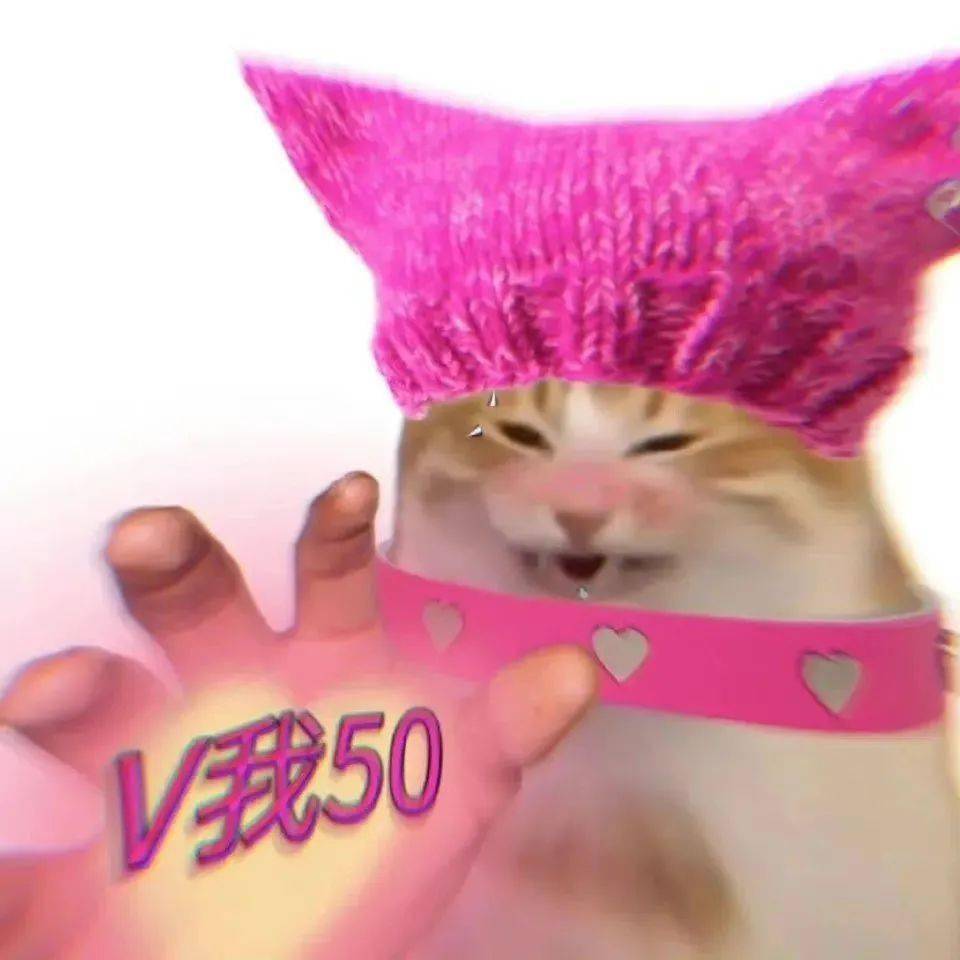 v我50丨第493期喵表情包_侵权_星标_猫咪