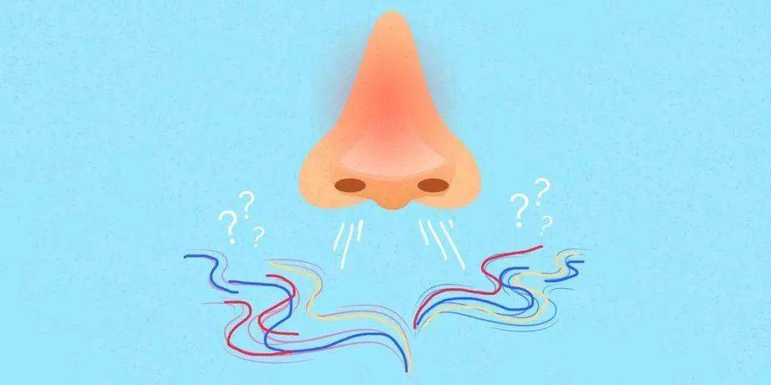 嗅觉失灵了,还能恢复吗?_障碍_鼻腔_治疗