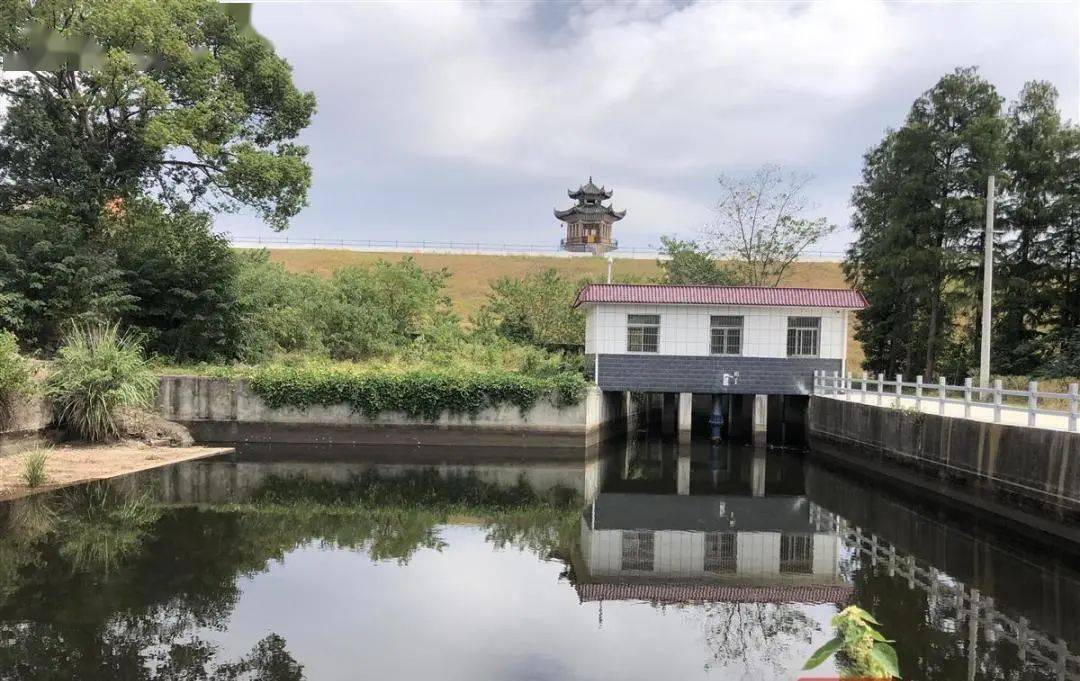 9月10日,红安县尾斗山水库管理处副处长李天武介绍说,由于管理科学,用