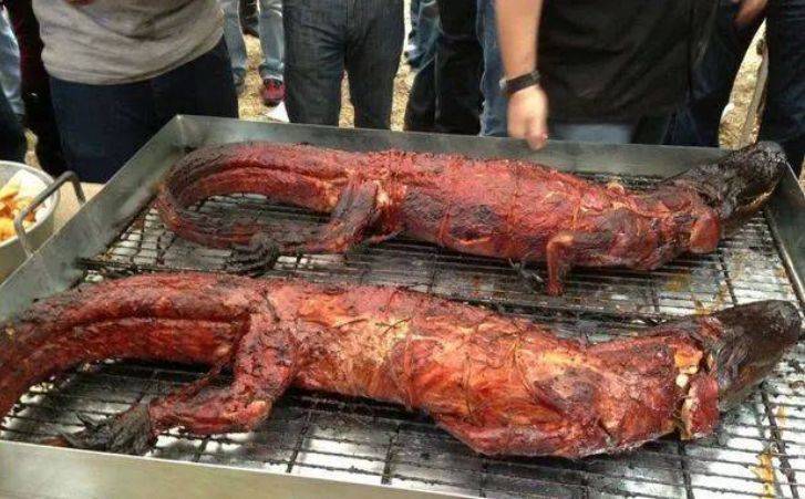 海南人吃起蜥蜴来有多野?_雷公_那家人_食材