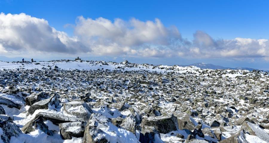 市场经营变难对家电企业是好事情-家电圈官网