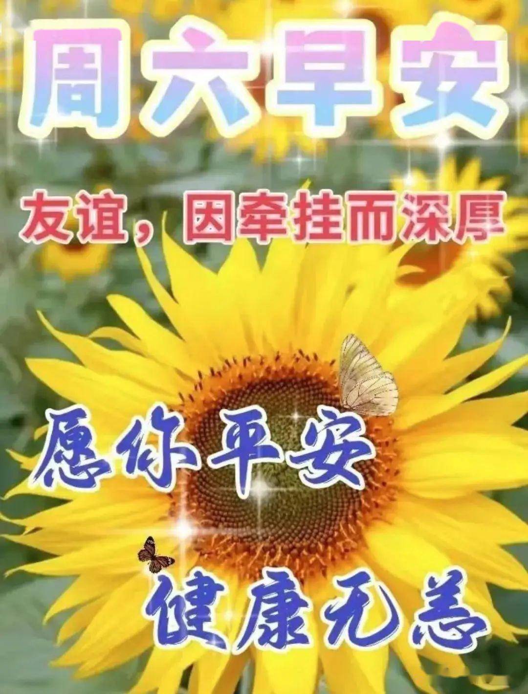 週六清晨問候早上好表情包,祝福好友幸福無窮盡,財源廣綿延_星期六