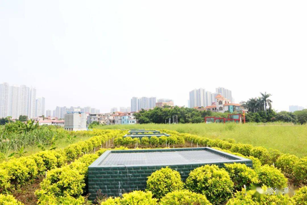 3号线地铁大墩站_检测_施工_钢筋