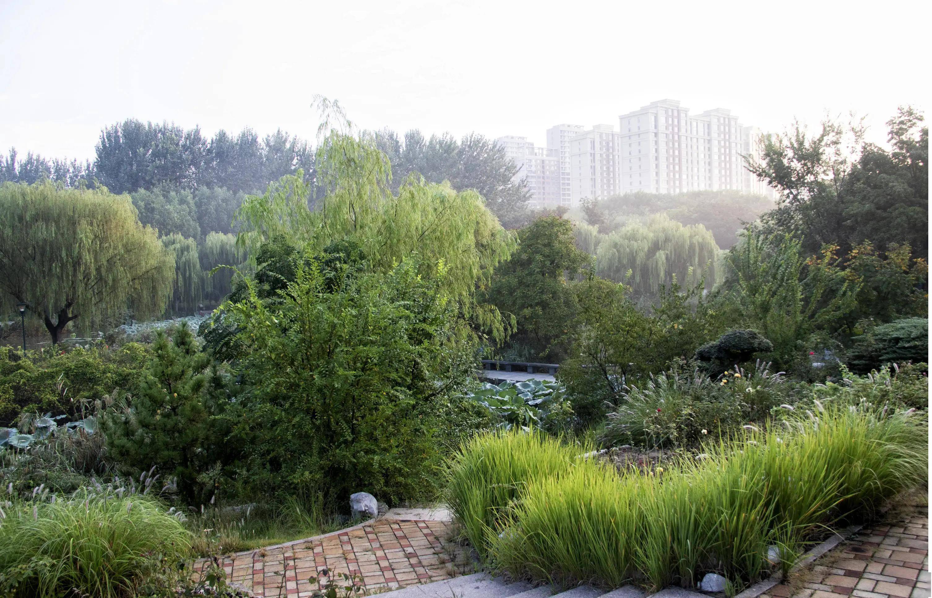 潍坊植物园游览图图片