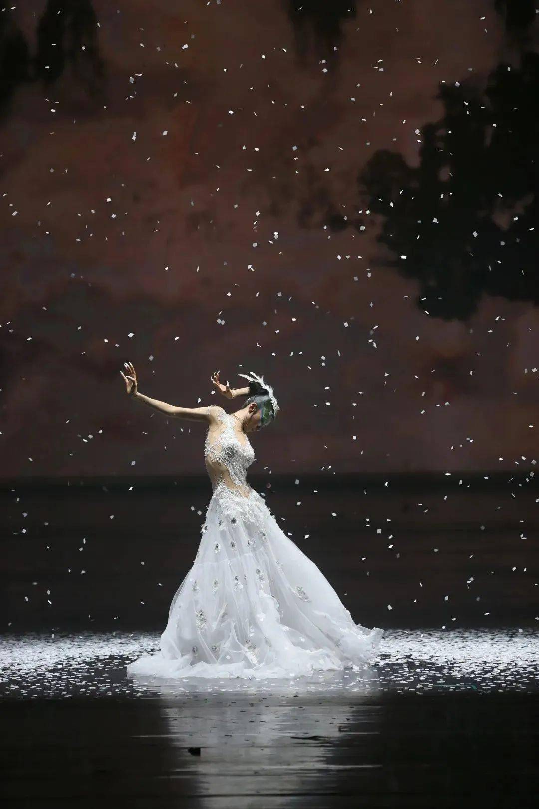 艺赏丨舞剧《孔雀》演绎春夏秋冬的生命之美_杨丽萍_美的_人性