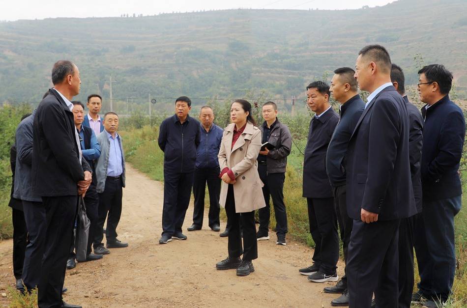 9月16日,清水县委副书记,县长李菊霞带队深入黄门镇现场检查华贸(甘肃