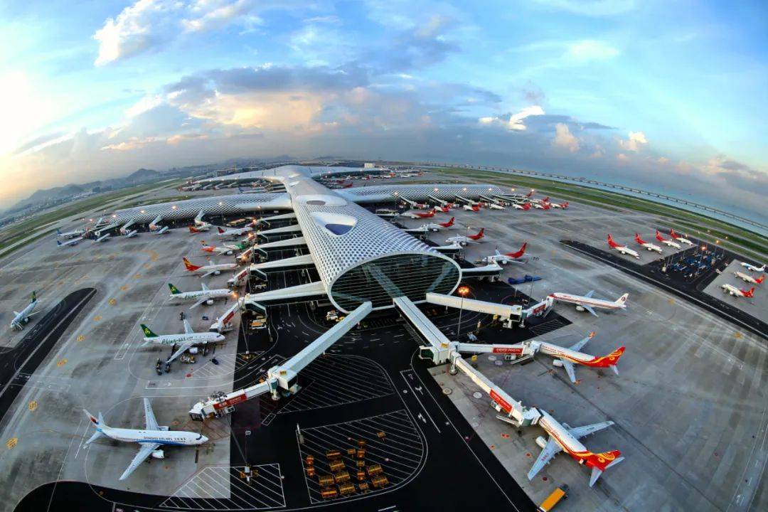 深圳机场8月份外贸货运吞吐量同比增长24.9%