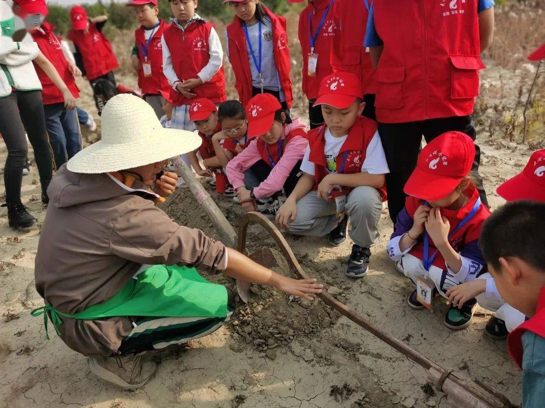 活动图集|"小小农夫"忘忧农场欢乐多!_大同_秋收季节_风景线