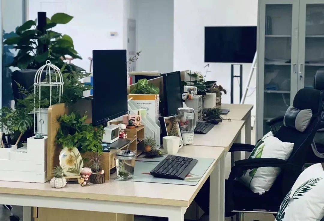 如何拥有雅致森系办公桌——绿植的布局攻略_植物_桌面_空间