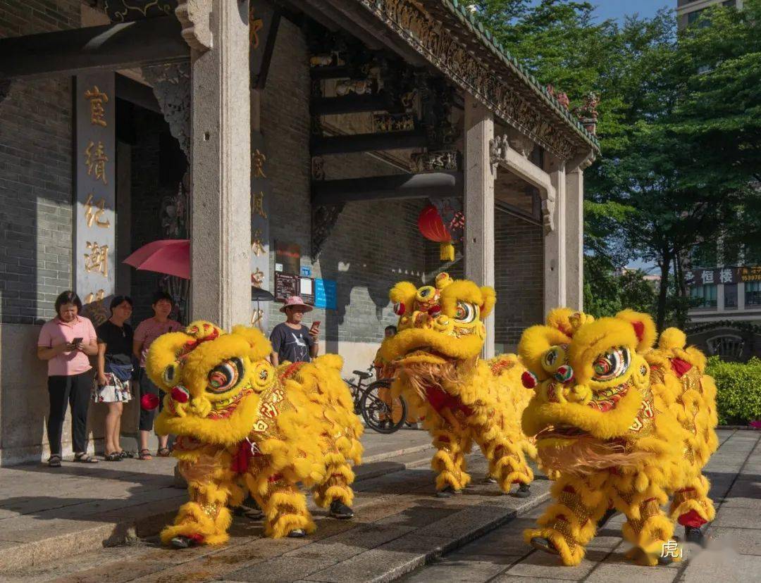 虎门这支少年醒狮队实力"圈粉"_白沙_文化_动作