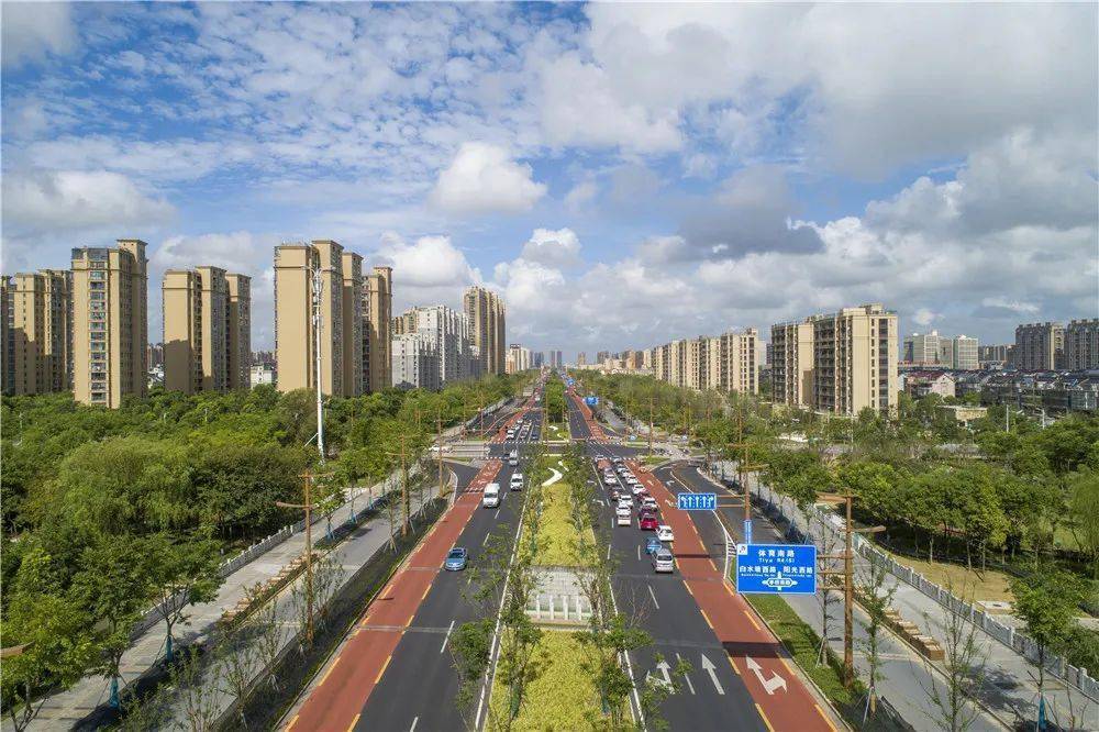 嘉善这条路成为省级"双精品"道路_世纪大道_交通岛_改造
