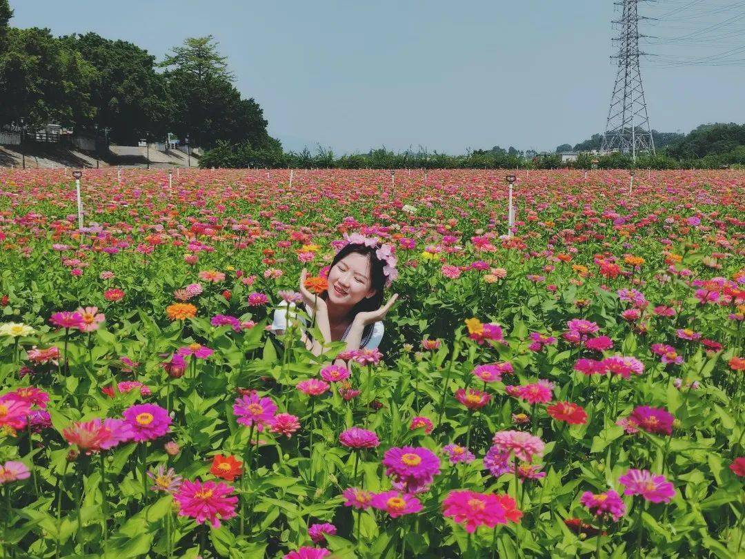 丨我要上佛山发布_白坭镇_西江_地址