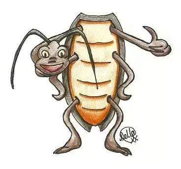 生命力顽强的蟑螂,为何不能随意踩死?