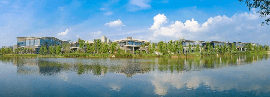 打卡泰州靖江 | 刚刚公布,这里全省第一_公园_版权_图片