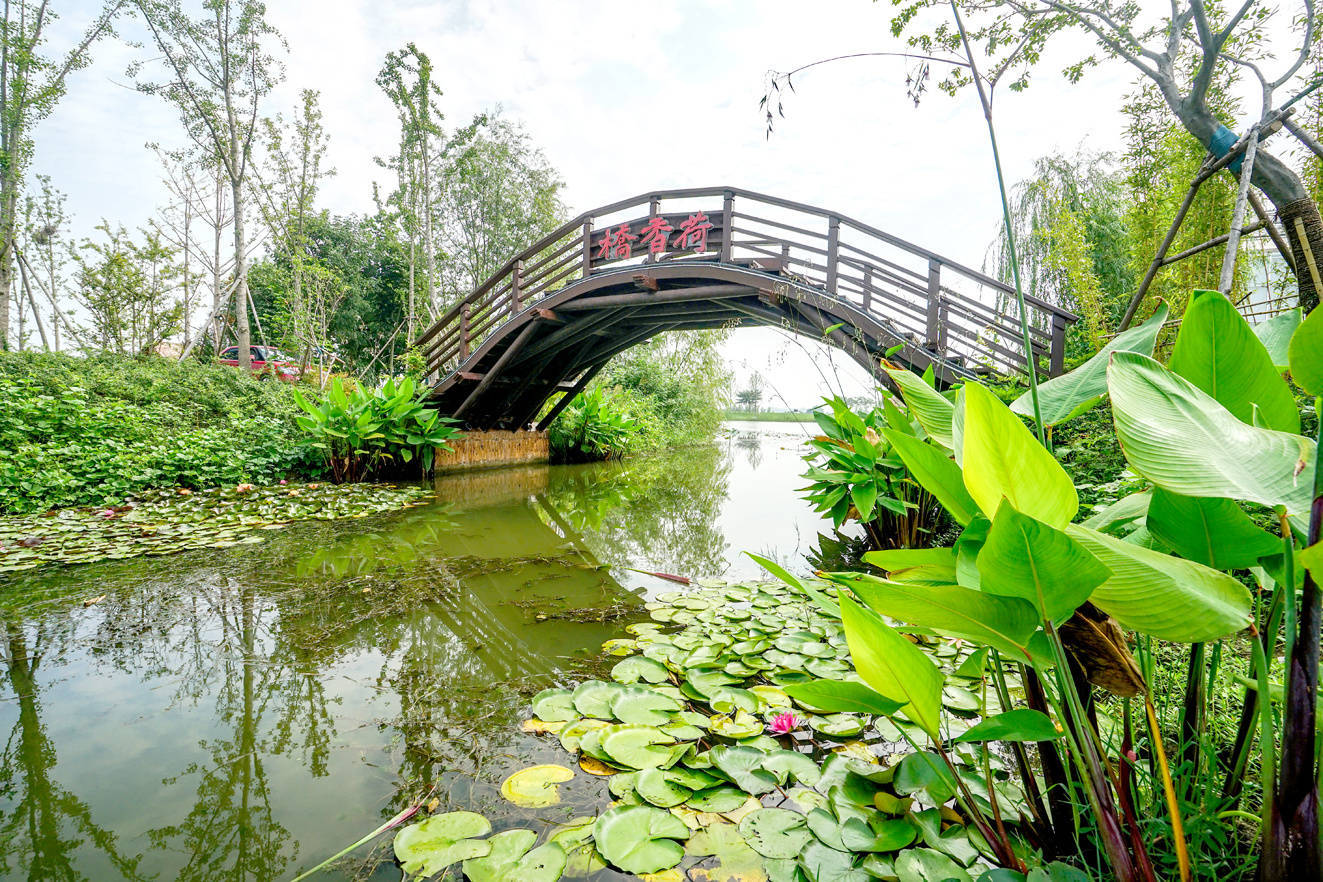 盐城九龙口风景区图片图片