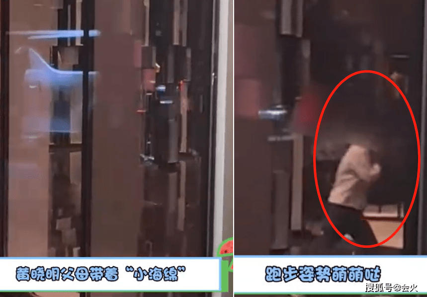 Baby酒店抱兒子回房間! 5歲小海綿身形壯實 2 1af5e860f0d847789c1e97b263464537