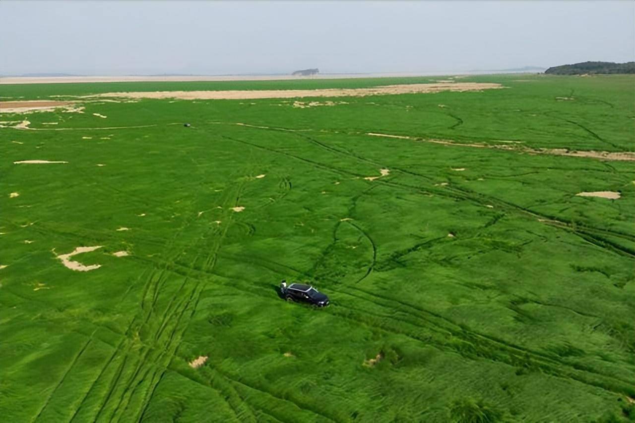 鄱阳湖刷新历史最低水位 江西95%区域达到特旱_手机新浪网