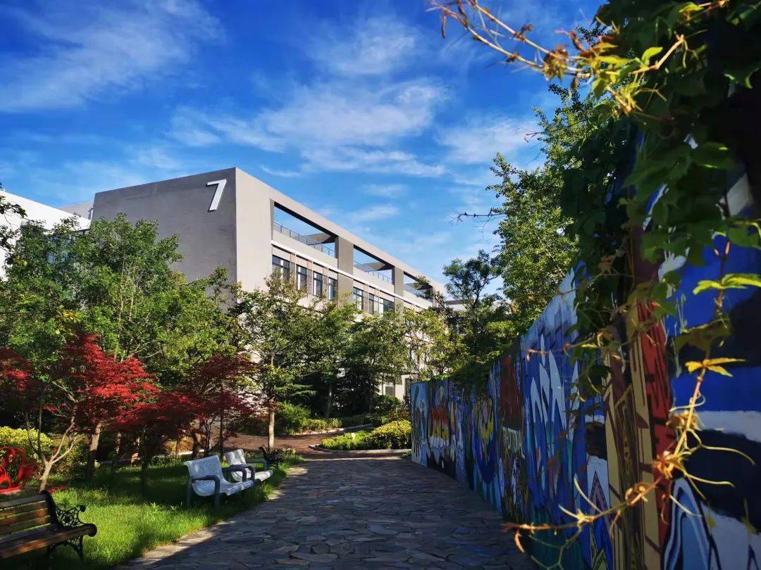 青岛第六中学荣获山东省第一批"绿色校园"称号!_生态_师生_建设