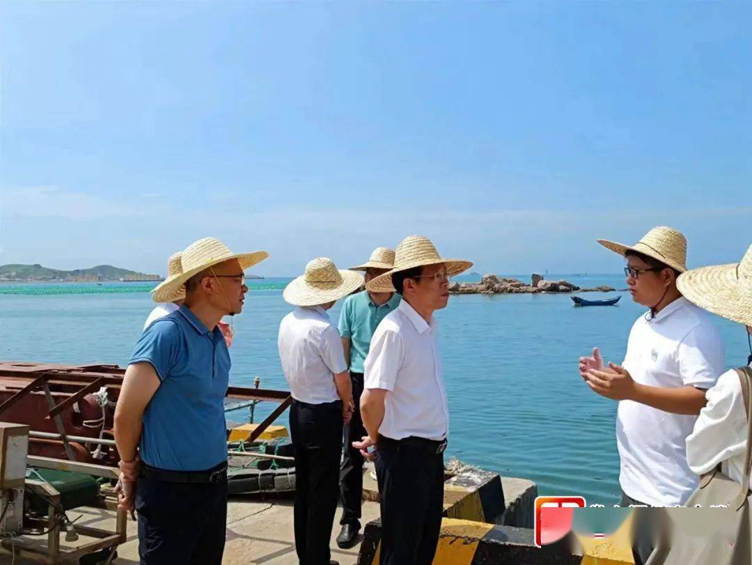 万名干部下基层系列报道 | 先行先试,创出深远海养殖"连江经验"_黄齐