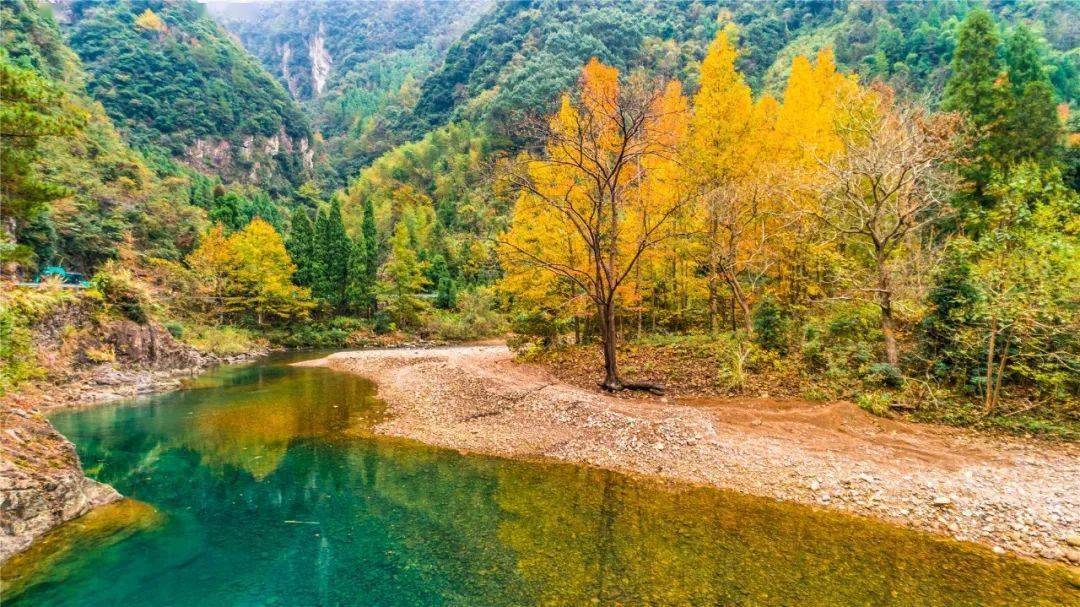 9月27日,门票半价!_景区_仙居县_活动
