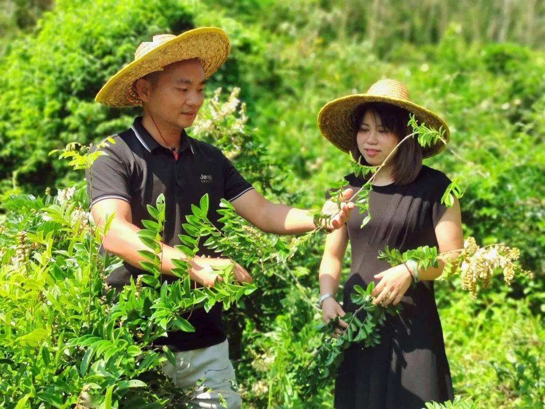 丰收的笑脸,是这个季节里最动人的表情_博罗_长宁镇_柏塘镇