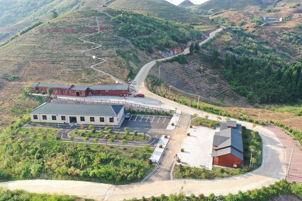 武宁县鲁溪镇双新村:生态葱葱绿绿,日子红红火火_辣椒_高山_茶叶