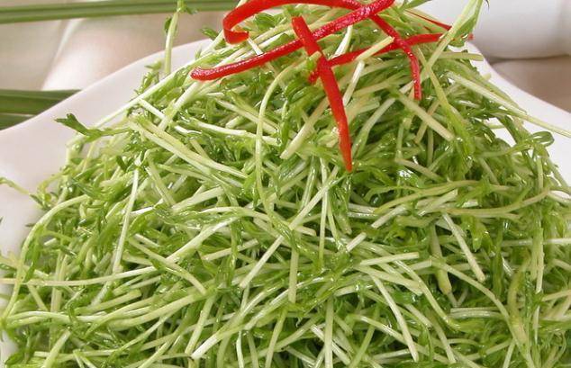 秋天可常食此菜,腰不酸,腿不软,女性不想满脸皱纹,可试试_柳菜_生活