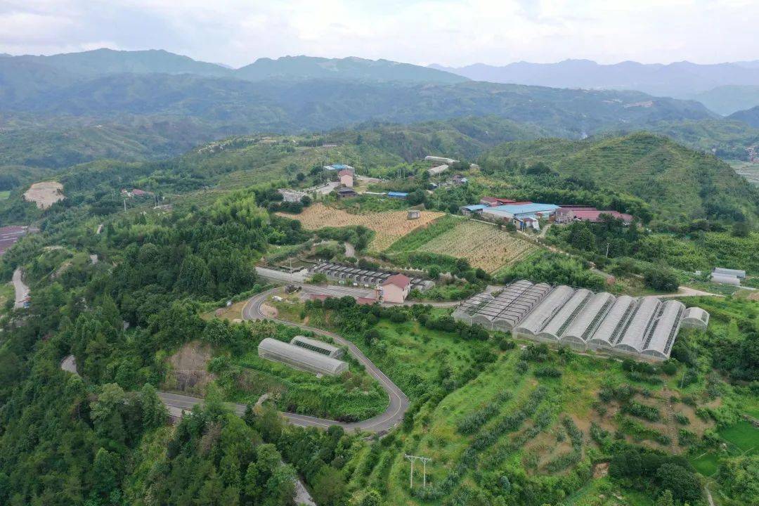 黃坦仙果園生態農莊