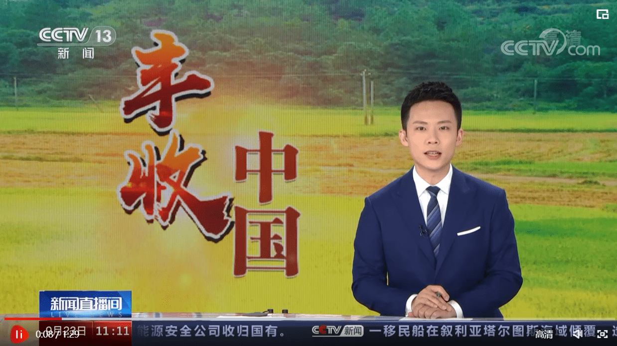 丰收节里话丰收 | 夏粮实现增产 总产单产均创历史新高_小麦_产量_中央