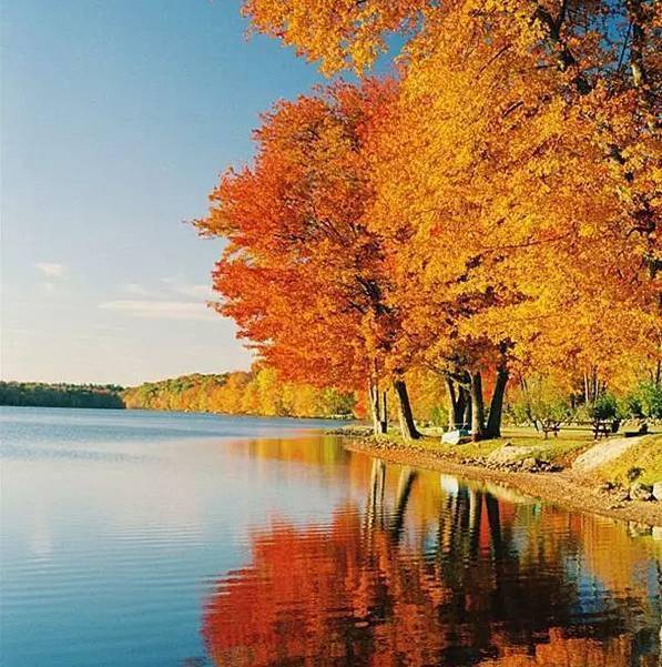 秋天,就是这样的