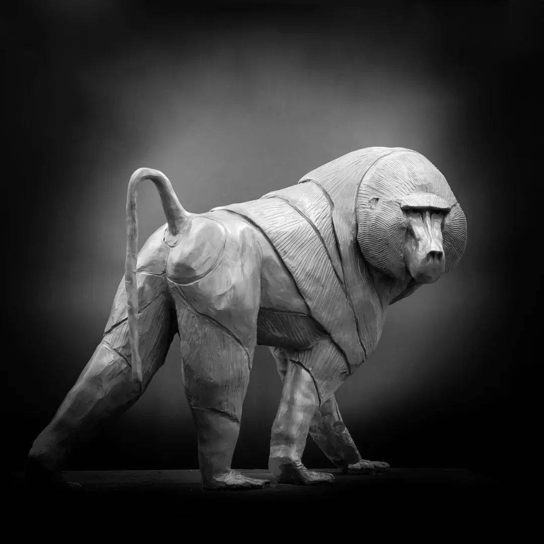 michael rumiz | 硬派写实的动物雕塑