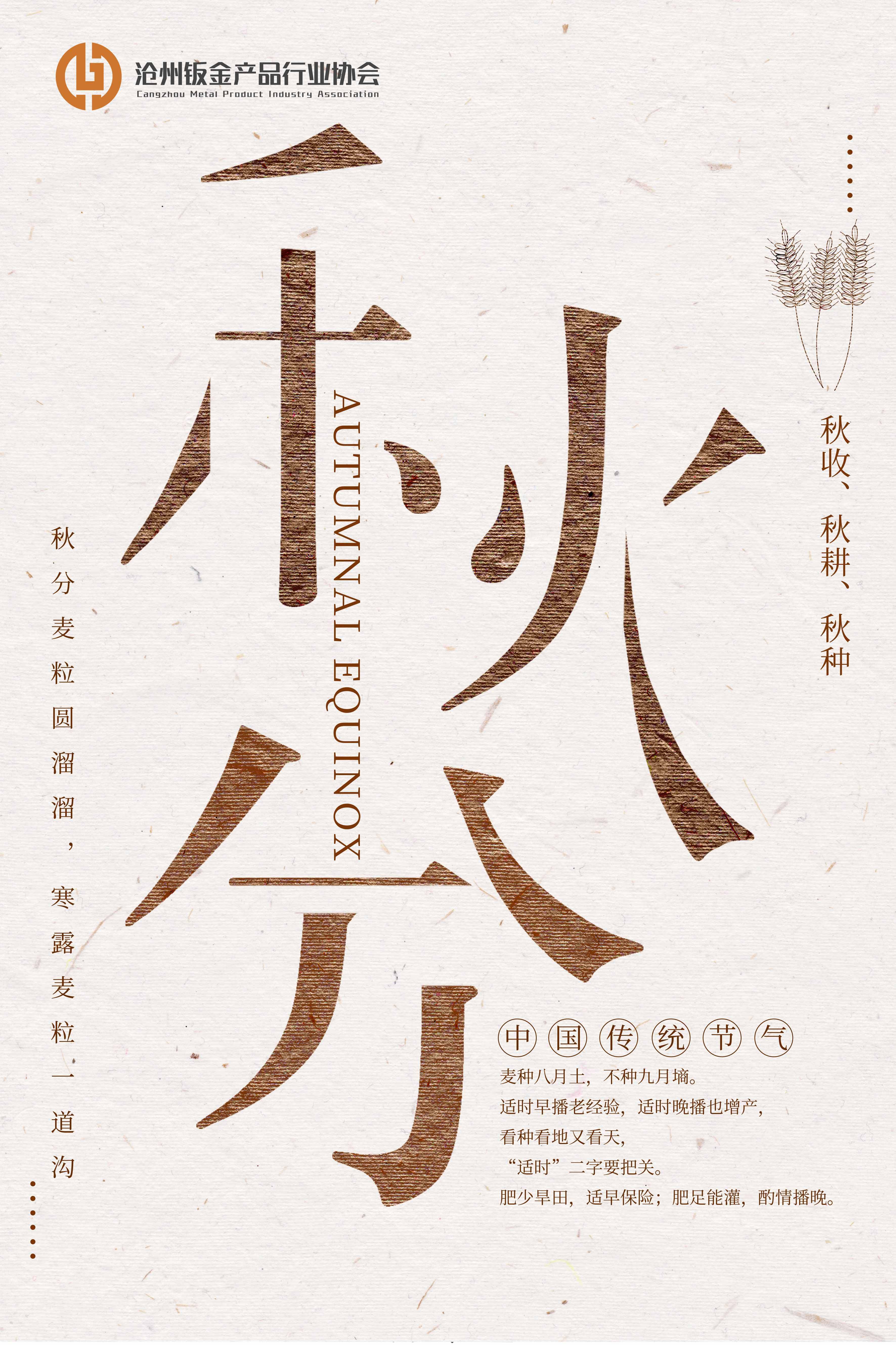 秋分麦粒圆溜溜,寒露麦粒一道沟_麦粒_秋分