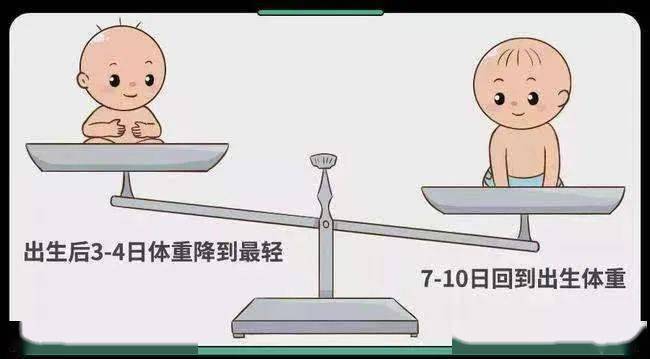 【健康科普】关于新生儿生理性体重下降的那些事_新野县_睡觉时间